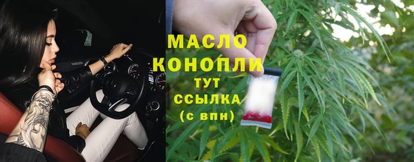 дмт Абаза