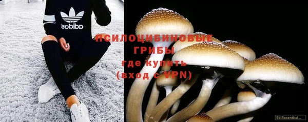 кокаин колумбия Магас